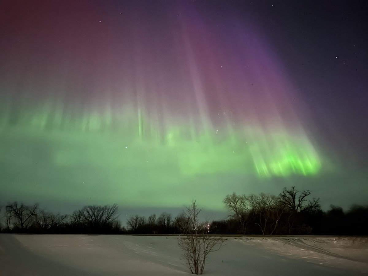 CompactorJoe's tweet image. The northern lights out side me house