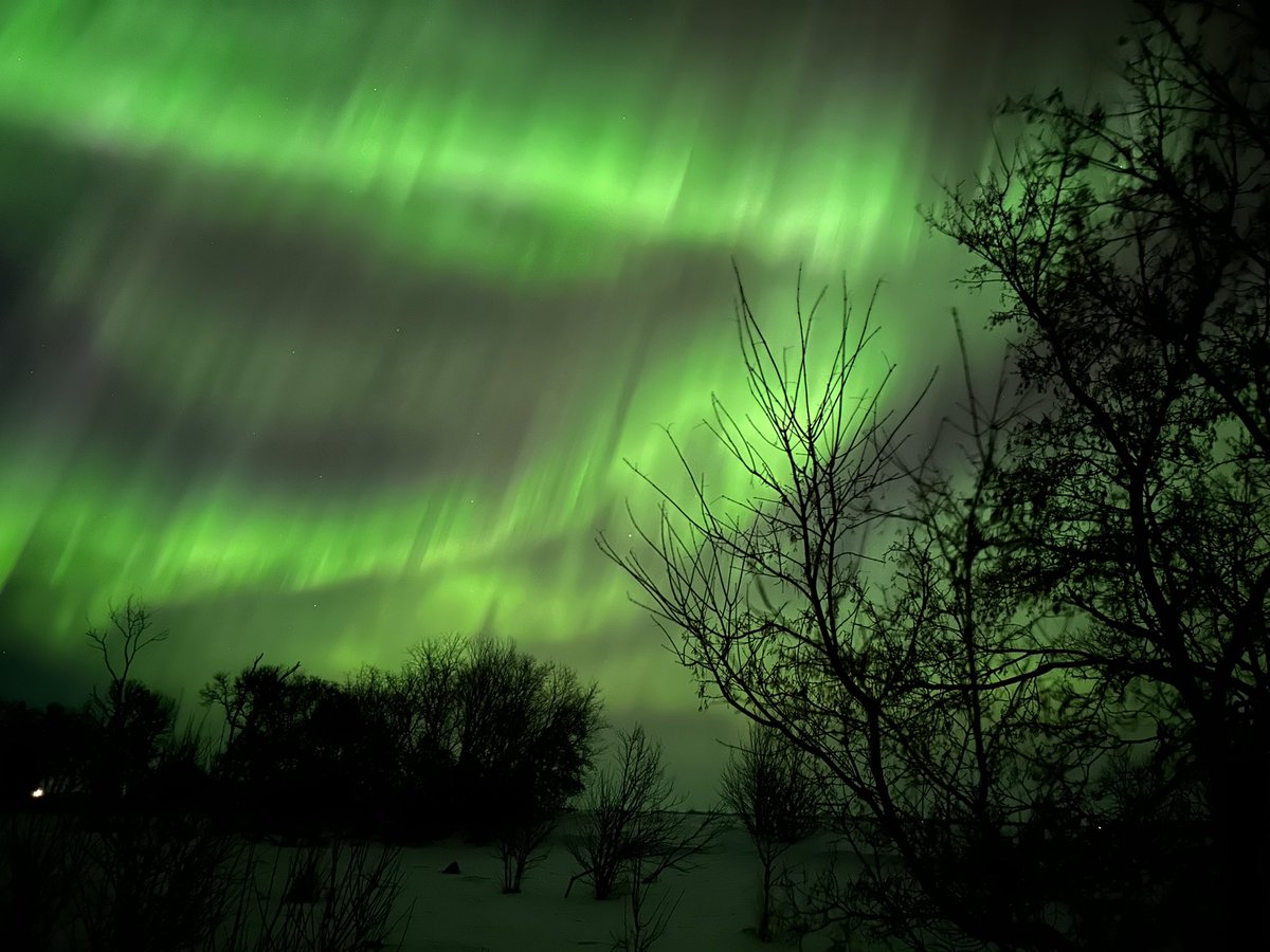 CompactorJoe's tweet image. The northern lights out side me house