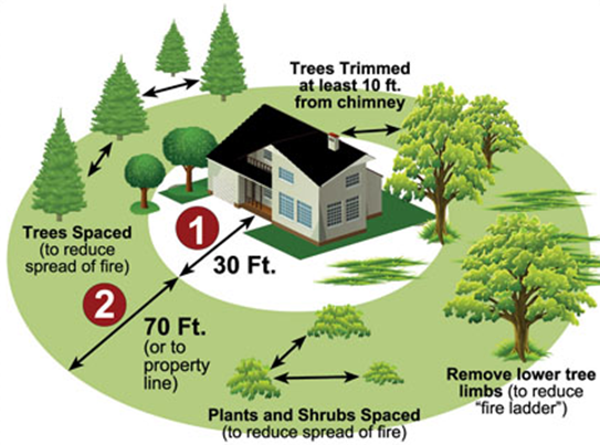 HumboldtToiyabe's tweet photo. Happy #firstweekofspring! We along with a multitude of our other vital cooperators wish to use this time of the year to help homeowners prepare for #WildFireSeason2023. #DefensibleSpace includes treating your property to a good old fashioned spring cleaning.
Go to @NevadaLWF https://t.co/OflxriTvzH