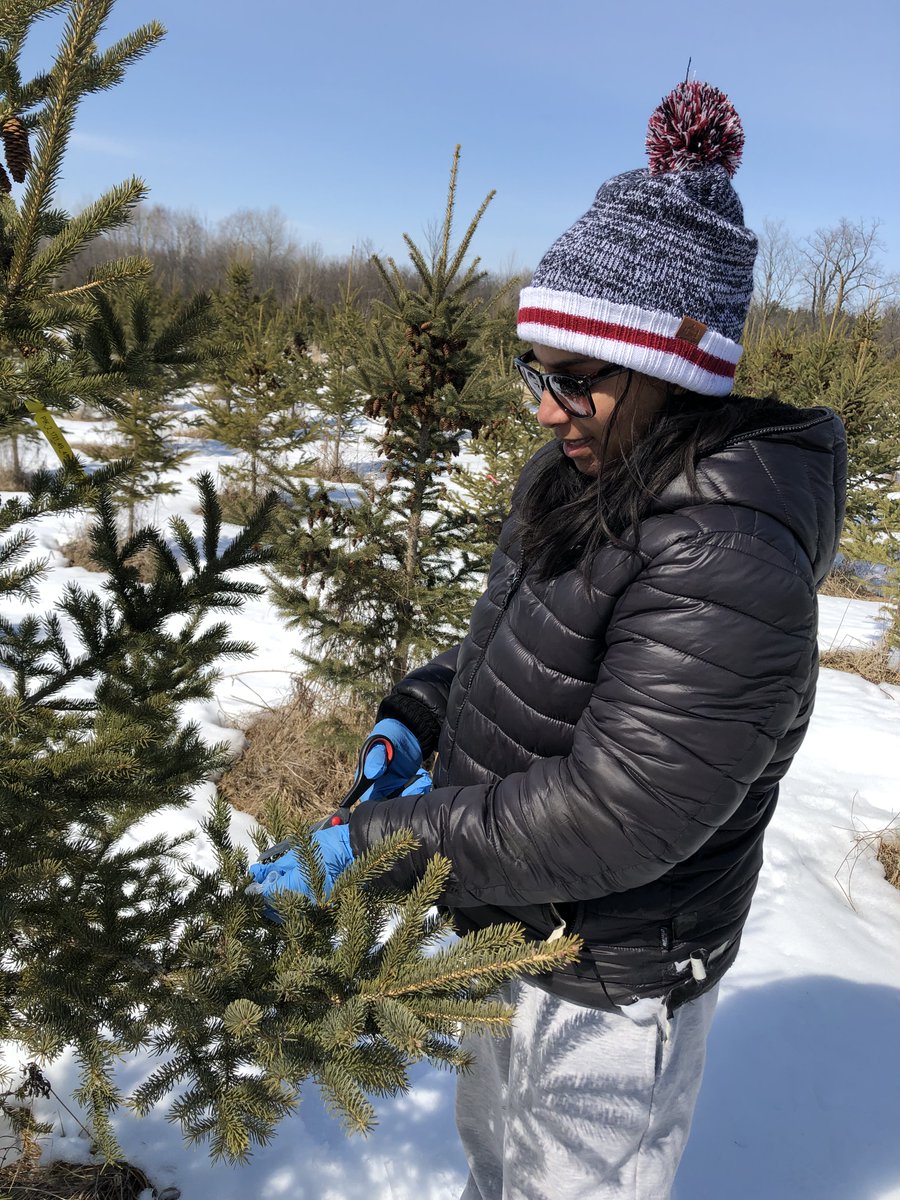 FastPheno tweet media