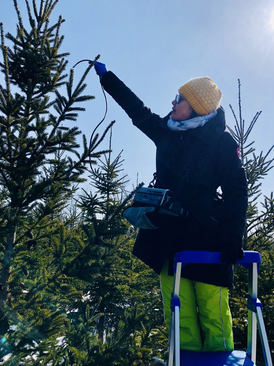 FastPheno tweet media