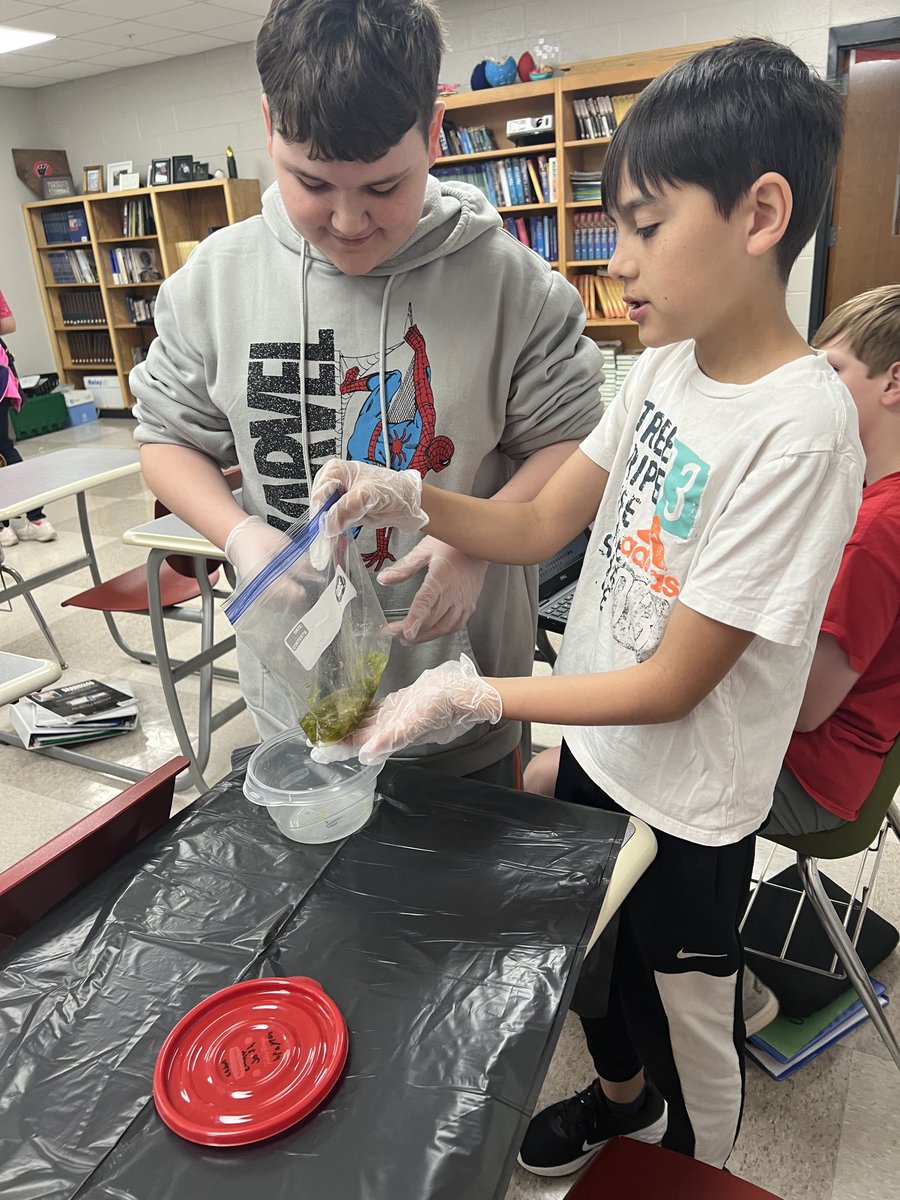 Julie Walker tweet media