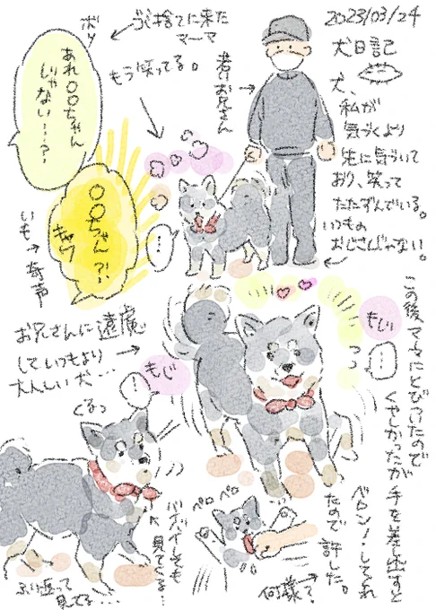 今日の犬日記です。 