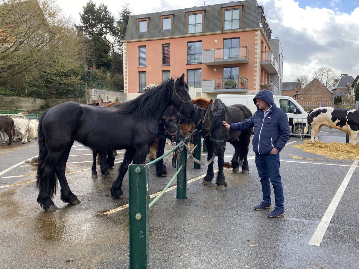 XavierBatut's tweet photo. Le concours #agricole d’ #Auffay reste sur notre territoire une belle vitrine de l’ #élevage #bovin. Ce vendredi matin, je suis allé réaffirmer mon soutien à ceux qui, dans le #PaysDeCaux, sont en première ligne pour assurer et garantir notre souveraineté alimentaire. #circo7610 https://t.co/9XOjt4NG37
