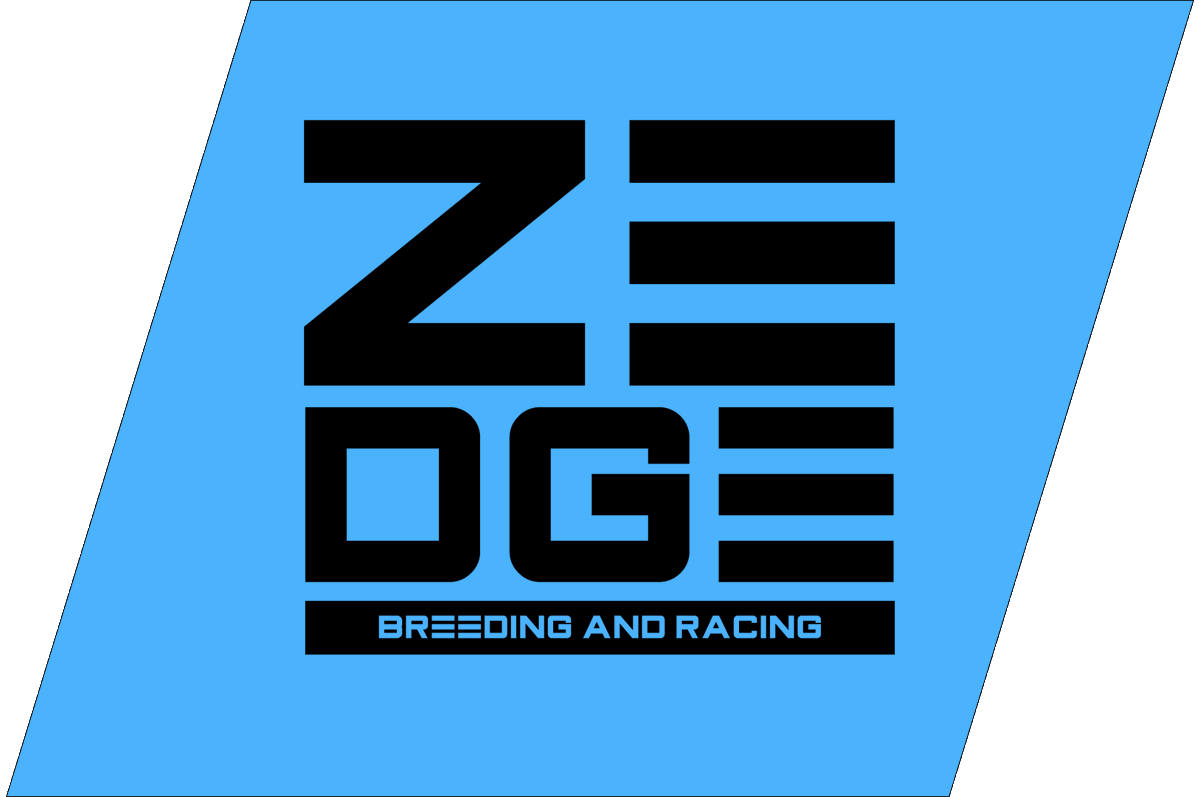 🚨ZEDGE &amp; Zed Racer are Joining Forces🚨  

Your favorite breeding and racing tools are merging to provide the total <a href="/zed_run/">zed_run</a> experience. We're psyched to welcome the killer dev/design power of <a href="/ZedRacerDotCom/">ZedRacerDotCom</a> to the team. Next few months will be wild!