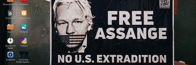 Instinct Intelligenz – Multi Polar Mind’s pics and videos