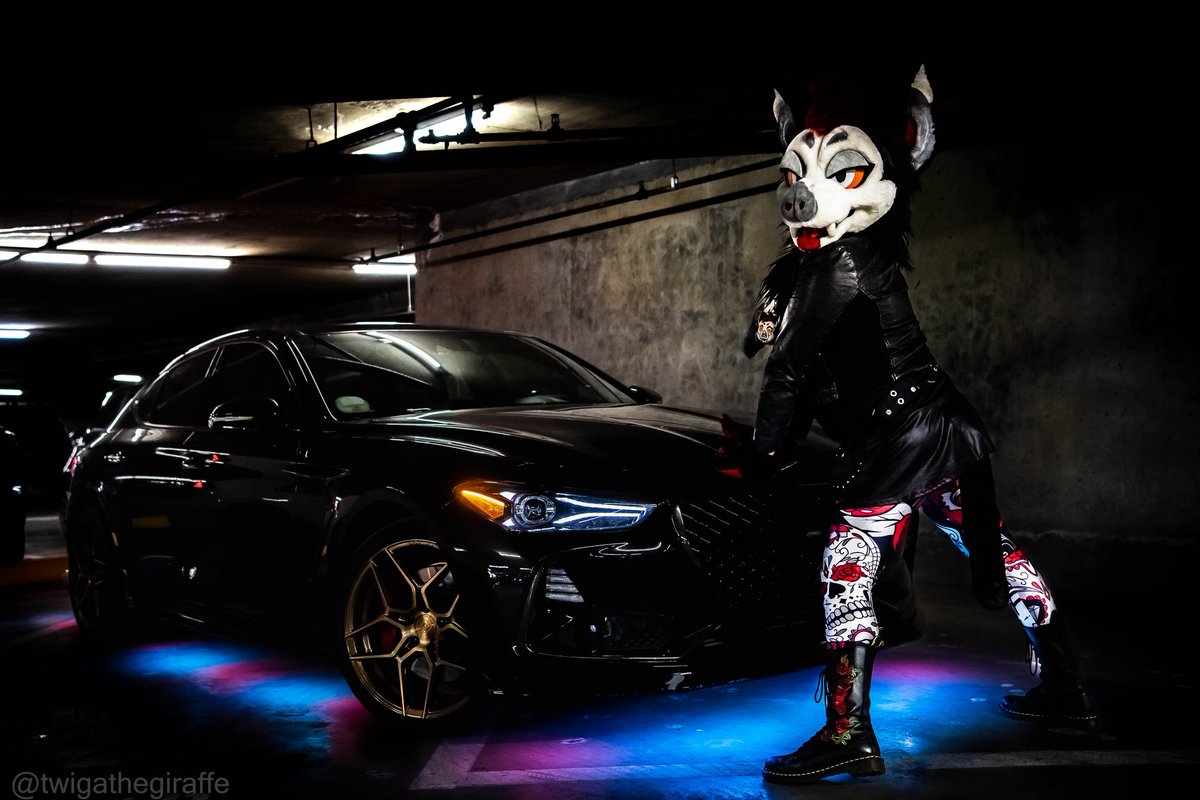 ChiswickGryphon's tweet photo. She just makes my engine race, she's everything I need.
 #FursuitFriday
📷 @TwigaTheGiraffe 
🚗 @yeenyboi https://t.co/pVLd8A5KFK