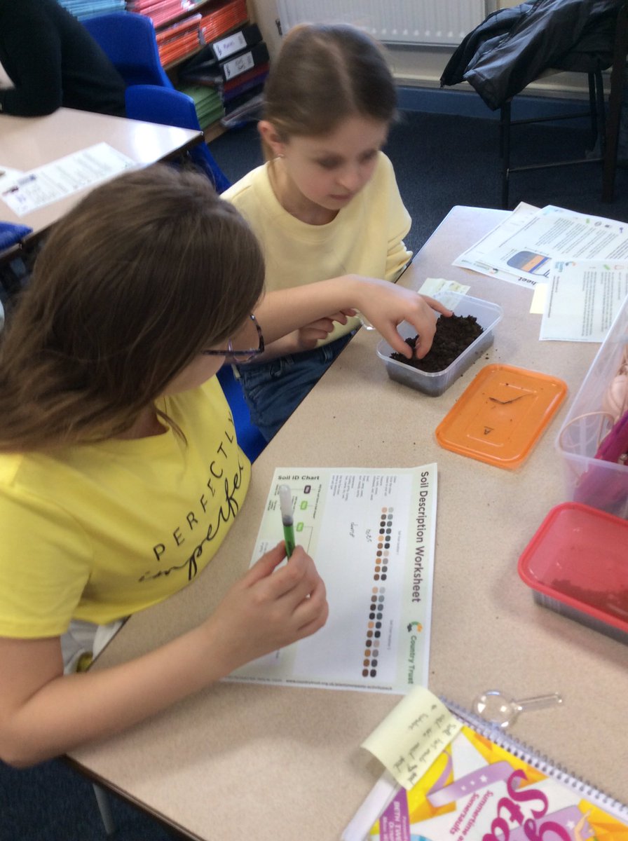 BandBschool's tweet photo. @BandBschool Team Humber have carried out research for a national study on soil quality. They have even planted some pants to test out how well our soil helps decomposition. Well done team. @eboractrust @CountryTrust #PlantYourPants #bandbforestschools #bandbscience #research https://t.co/foZUBJKfCM