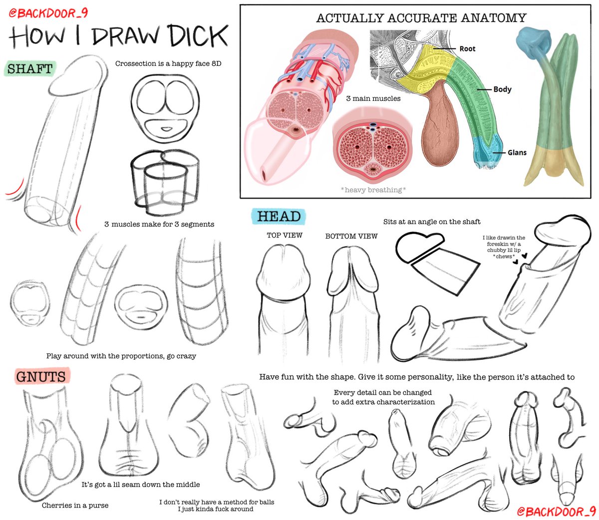Folks on my priv found this useful, so I’ll post it here too. Here’s my personal style guide for drawin dicks!