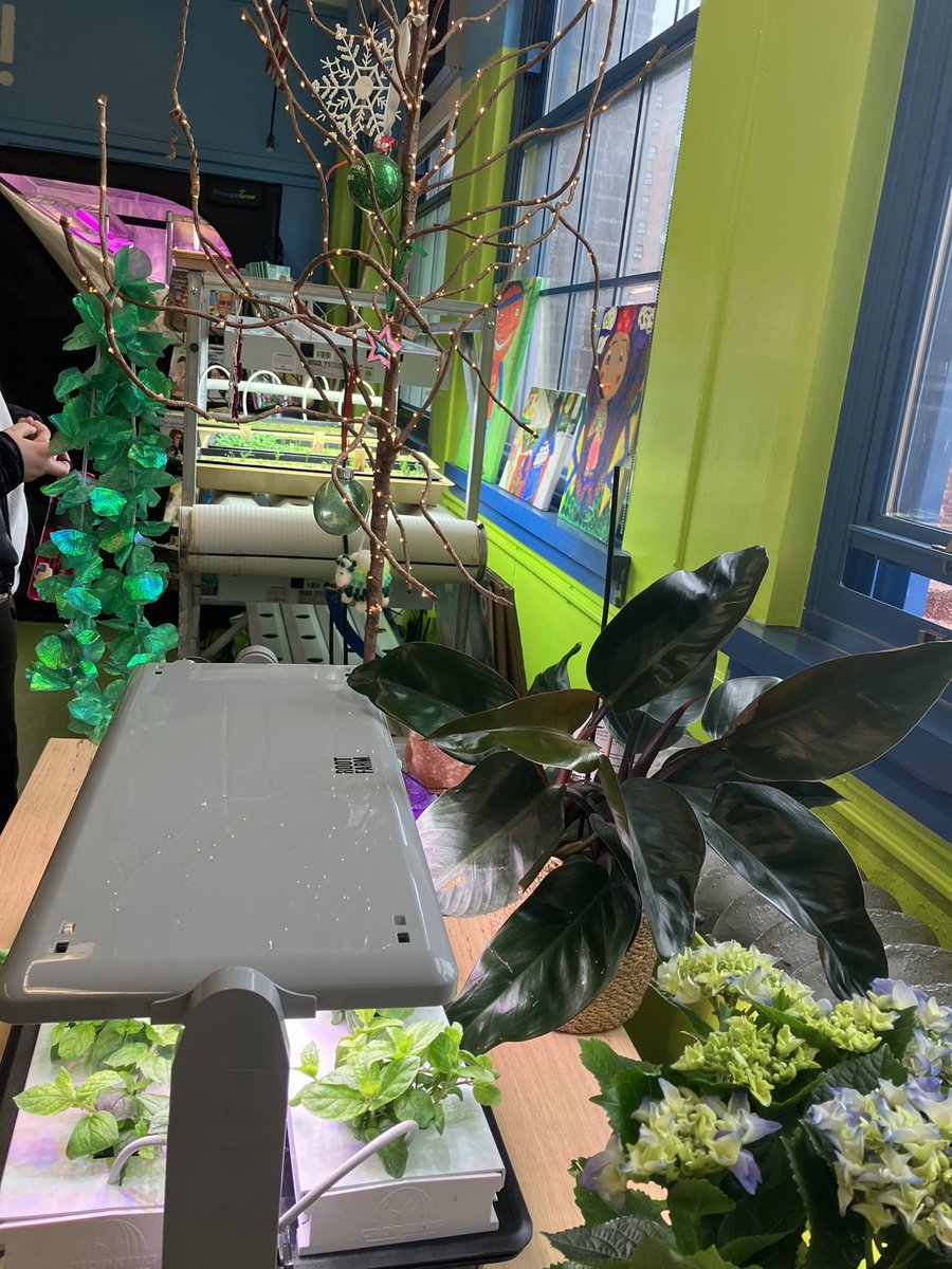 AQE_NY's tweet photo. At co-located cs55 in the Bx: despite having to share space w/ success/ have their resources siphoned, C.S. 55 still innovating: see #GreenBxMachine where they teach kids how to grow veggies, cook, bake & broil w burners & ovens, etc https://t.co/ied4XVeSPO