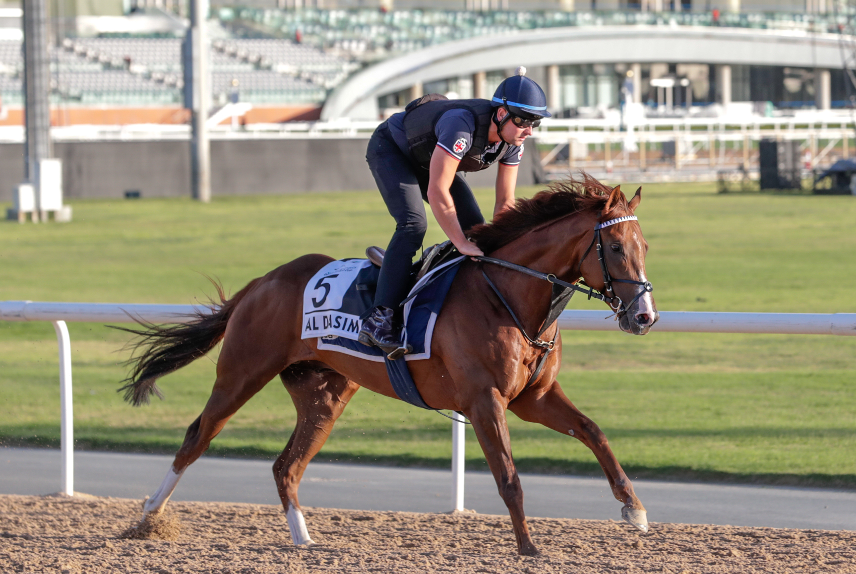 Marco Botti Racing (MarcoBotti) / Twitter