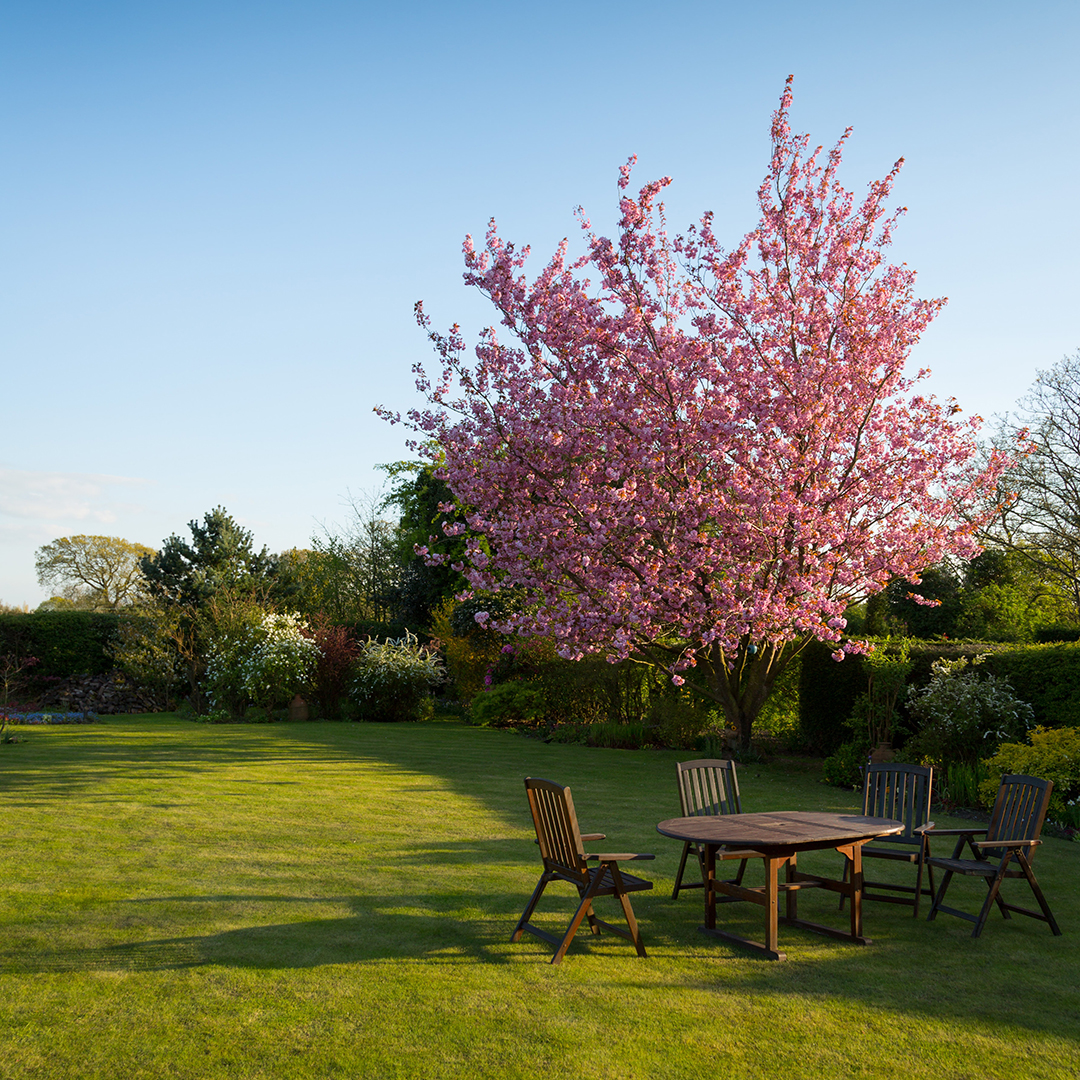 Looking for home refresh ideas? The Castle Rock Home and Garden Show starts today and runs through the 26th. bit.ly/2Y8vNX8 

#CastleRock #HomeandGarden #ThingstodoinColoardo