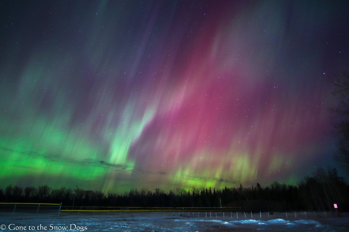 Gone2theSnowDog's tweet photo. We went out last night and watched the Northern Lights!  The BEST show we have ever seen!  If you don't know what this means to us, let me explain.  There is a story about how when Siberian Huskies pass away, they go over the Rainbow Bridge, but they are not happy there. . . You know what, here let me get the story for you to just read.  
"The time comes. A Siberian Husky lifts up its head. There is an untested adventure beyond. Time to go.
Across the Rainbow Bridge is a place for all dogs. A river runs wide and shallow with tennis balls that fly with their own wings; that is the place for a Labrador or Golden to await its master's arrival.
The Siberian is not content here. Northward is its trail....
There are soft pastures for Aussies and Border Collies, with sheep and geese to pen. Agility equipment grows like trees amid Frisbees and flyball.
But the North continues its sure wild call, and the Siberian's journey continues....
Now the air is colder. Now the moon is always full. Now the light is silver and it breaks and shimmers on fields of bright snow. Now there are no roads, no walls, no pens, just endless space to run.
This is where Siberians gather, North of the Rainbow Bridge.
They wait in this beautiful place, happy, but not complete. Suddenly, a howl begins, as one dog senses someone coming, someone very special. All the Siberians raise their heads and join in the ancient chorus. They dance like moonbeams and sing like winter winds.
There are red ones like dawn streaks, black ones splattered with many colors and silver ones like the first strange hour before light. They line up as if in harness and run together, in a scintillating, many-colored streak.
The leader of the team guides the others past the fields and river, with racing feet and racing heart. They rush to greet the new arrival at the Rainbow Bridge, where the leader is rejoined with its beloved person, never to be parted again.
The glory of the reunion is celebrated by all the Siberians dwelling beyond the Bridge, a glimmering, multicolored team leaping and whirling with joy.
The light from that scene is what we see on magical evenings in the northernmost parts of this Earth:
The Aurora Borealis, the Northern Lights beyond the Rainbow Bridge.
by
MakWa4me"
I'm not crying. . you're crying. . . . 
#northernlights #auroraborealis #Aurora @PureMichigan  #puremichigan