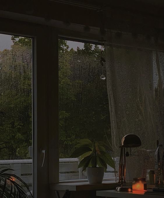 gloomy day.