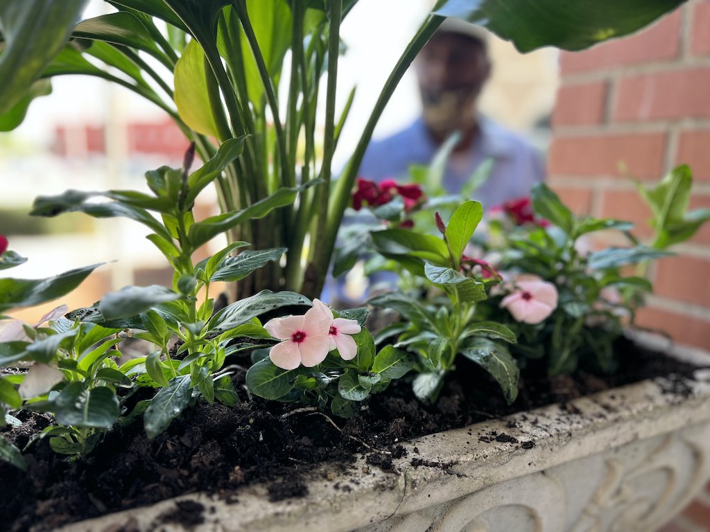DoCoSchools's tweet photo. SPRING HAS SPRUNG: New flowers are going up at the #Docoschools administration building. https://t.co/Don6IiVG4J