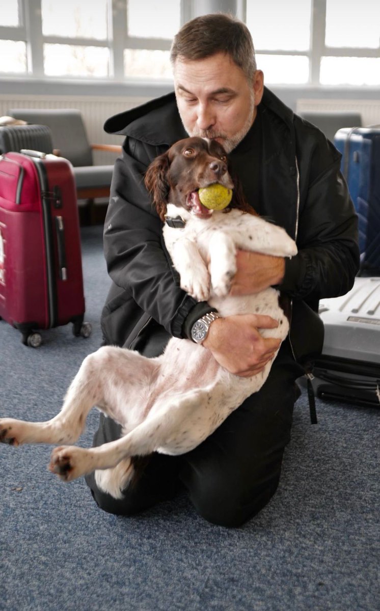 HarperCollinsCh's tweet image. This week @davidwalliams met the brilliant @lrpduk and their heroic retired police dogs, to get ready for the upcoming release of his latest action-packed adventure #Robodog, out on 30 Mar! 🐶
Stay tuned for some pawsome content with David &amp;amp; these amazing animals - coming soon 👀