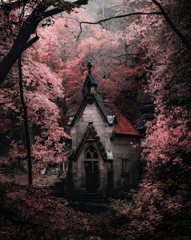 Vie would feel at home here.