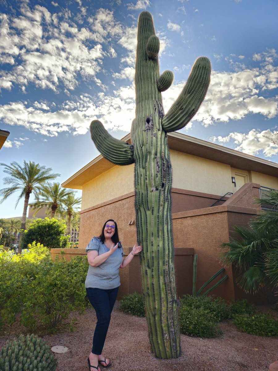 Laura Pomes tweet media