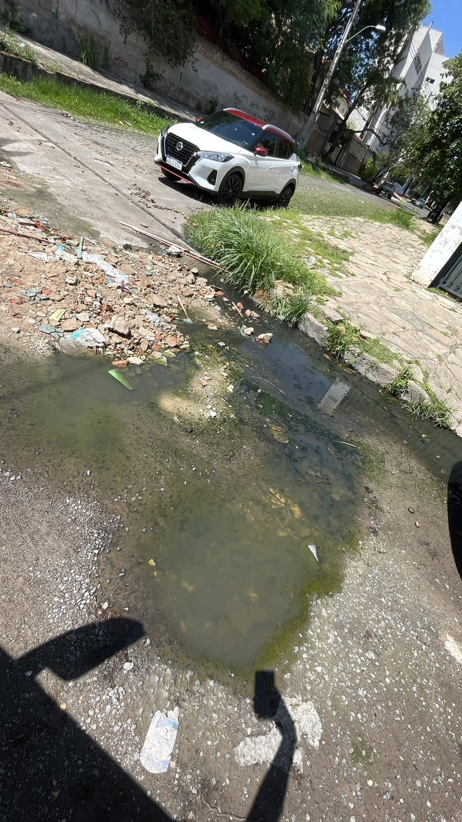 DOMIFRAGNAUD's tweet photo. Denuncio a la @AsuncionMuni @nenechopy por la falta de limpieza , falta de recapado y criadero de mosquitos en barrio jara. Desde el año pasado les estoy rogando pero nada! @Telefuturo @ABCDigital  @AM_1080 @oscar_marandu @UltimaHoracom https://t.co/sqXA7BtgOb
