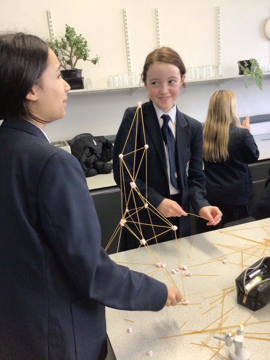 BRGS_Physics's tweet photo. Brilliant end to #BritishScienceWeek at BRGS. Year 8 competed to build the highest tower made from a few marshmallows and spaghetti 🍝 https://t.co/Ure2tE2NyO