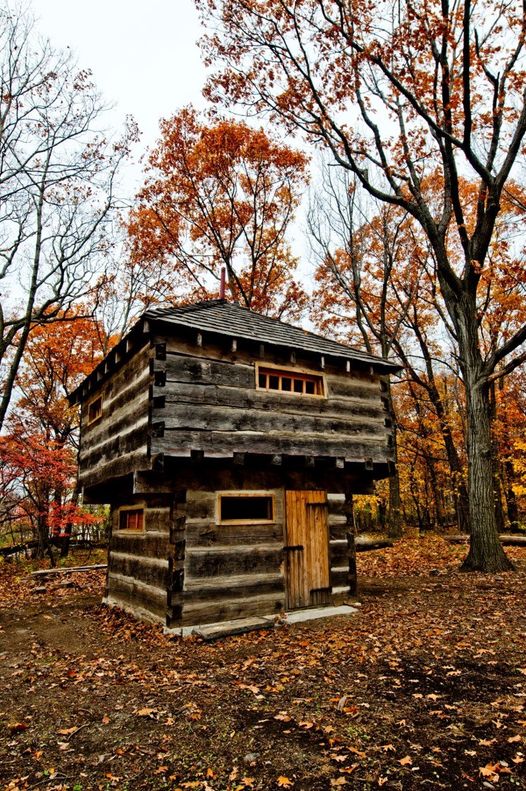 S.W. O'Connell tweet media