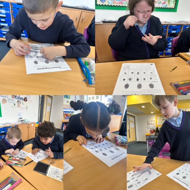 Kingfishers - Miss Johnston tweet media