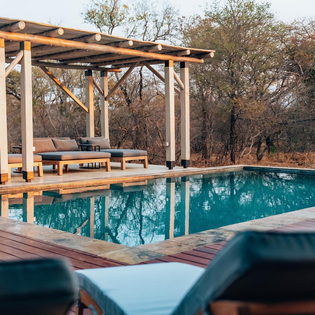 Escape to Africa this holiday season with us 🌿🐾 

Browse our 30 luxury villas and book yours today and come experience the beauty of the African bushveld like never before. 

homesofafrica.com