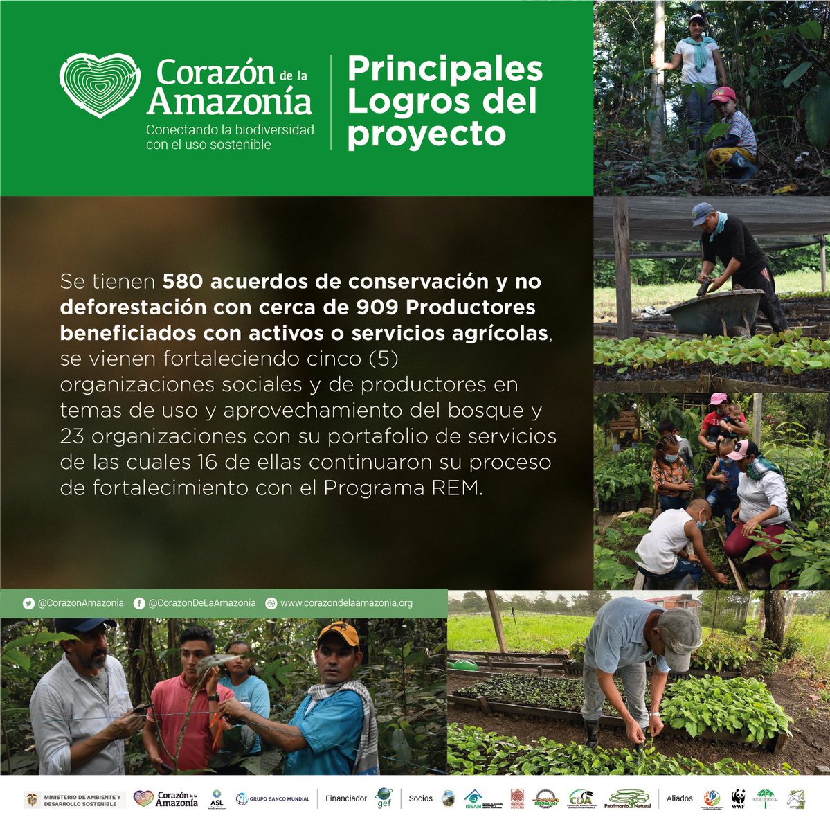 CorazonAmazonia's tweet photo. 📢Logros del proyecto: Se tienen 580 acuerdos de conservación y no deforestación con cerca de 909 productores beneficiados con activos o servicios agrícolas, se vienen fortaleciendo cinco (5) organizaciones sociales y de productores en temas de uso y aprovechamiento del bosque. https://t.co/md5ckuZMZR