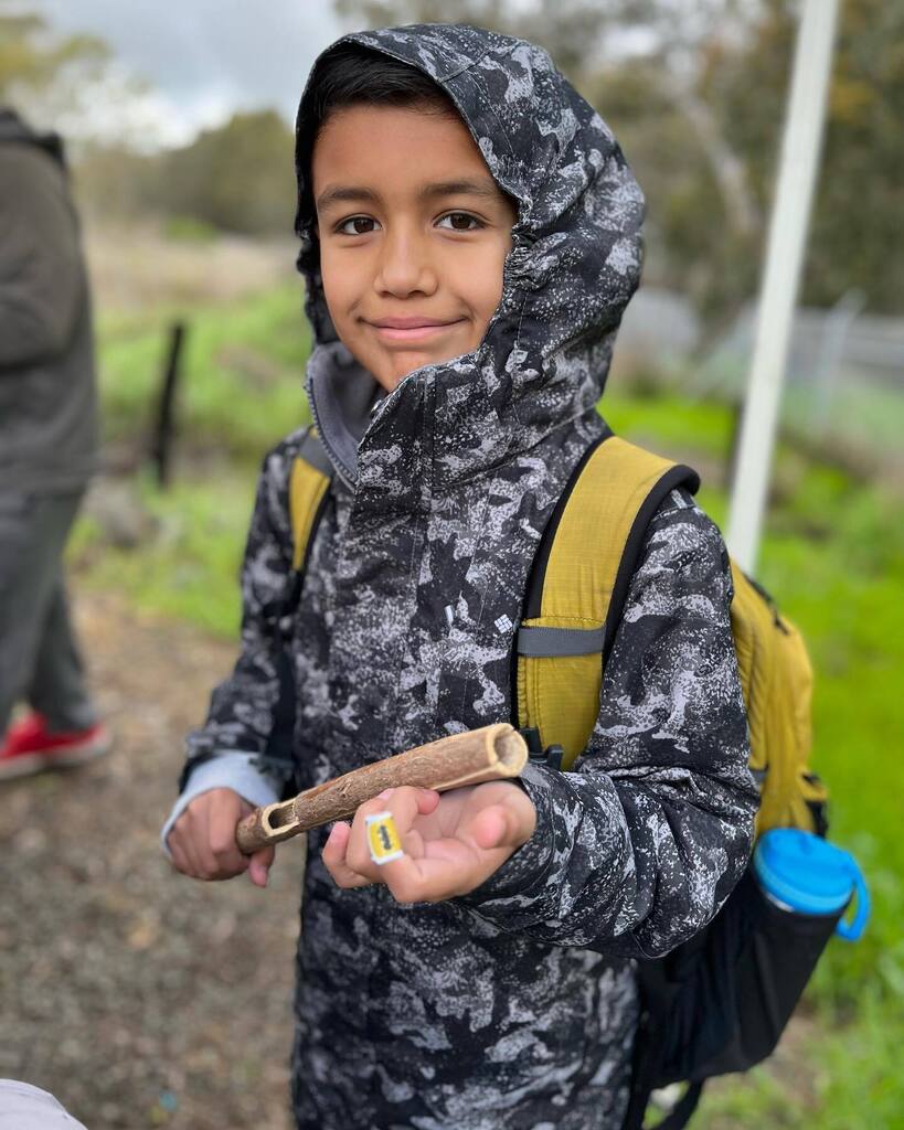 Napa Junction tweet media