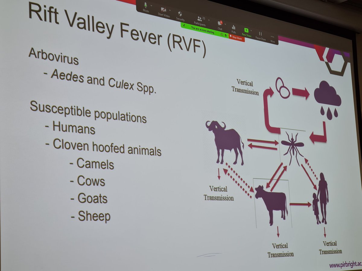 Luke O'Neill, PhD student at <a href="/CityUniHealth/">School of Health & Medical (Clerkenwell)</a> and <a href="/Pirbright_Inst/">The Pirbright Institute</a>, gives fascinating talk on his doctoral work on River Valley Fever at <a href="/CityUniHealth/">School of Health & Medical (Clerkenwell)</a>'s One Health symposium. #CitySHPS linkedin.com/in/luke-o-neil…