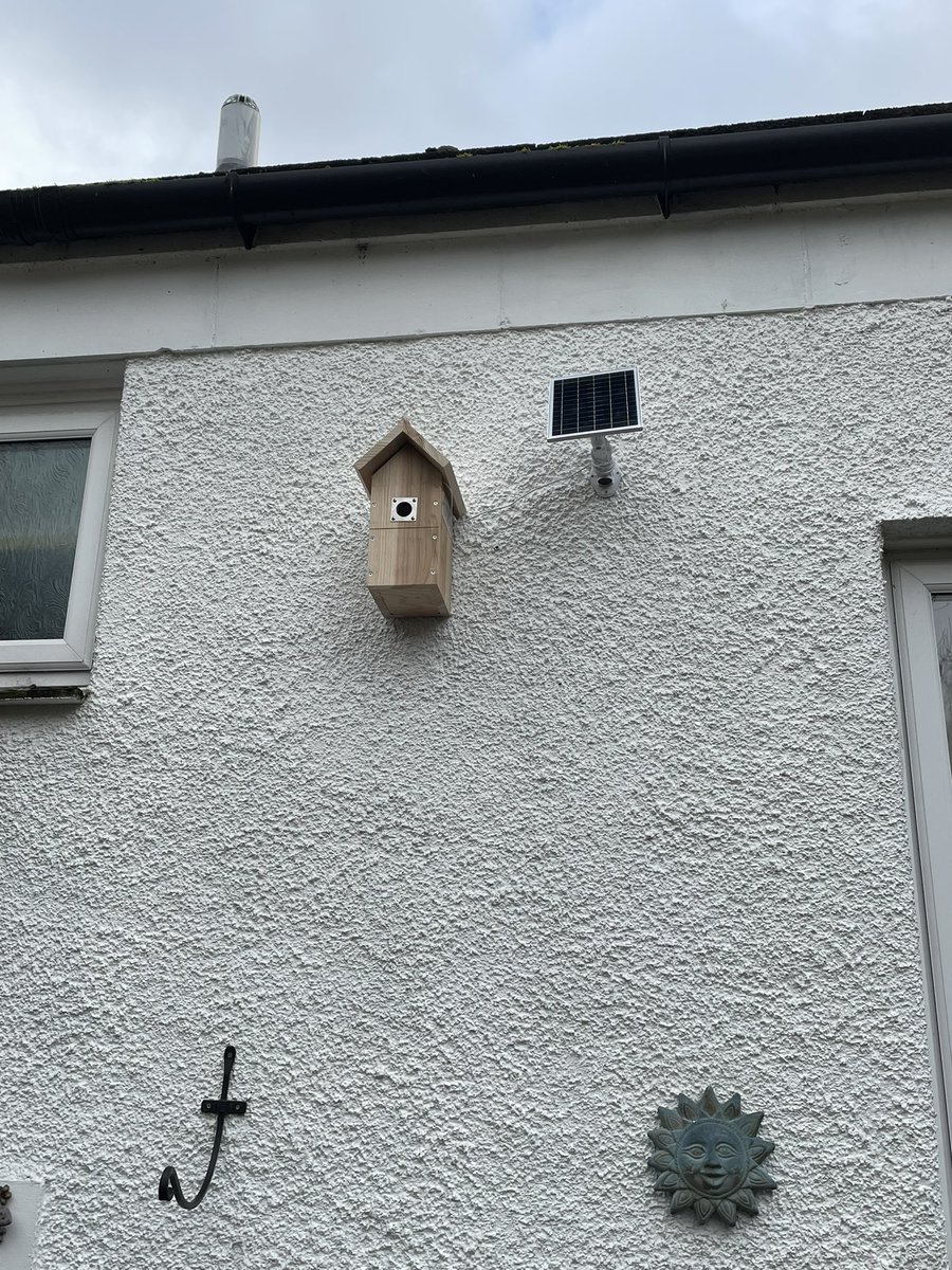 ChefsPass's tweet photo. I’m over the moon with my fantastic birthday present from my wife
A solar powered camera bird box for the side of my house,
All fitted and working well
Now just awaiting our first family to move in
#birdbox #birdboxcamera #birdboxcam #rspb #rspb_love_nature #rspb_loves_nature https://t.co/a3tj0LjJLL