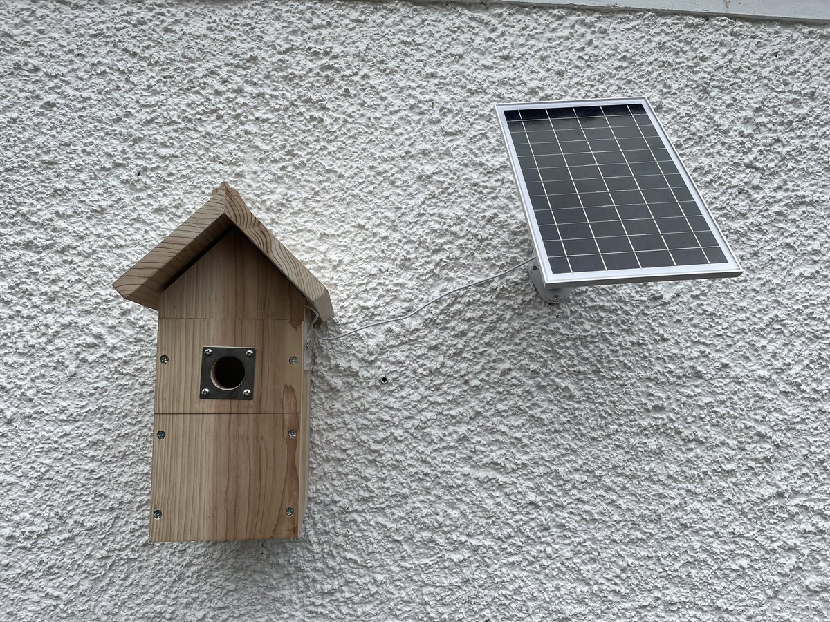ChefsPass's tweet photo. I’m over the moon with my fantastic birthday present from my wife
A solar powered camera bird box for the side of my house,
All fitted and working well
Now just awaiting our first family to move in
#birdbox #birdboxcamera #birdboxcam #rspb #rspb_love_nature #rspb_loves_nature https://t.co/a3tj0LjJLL