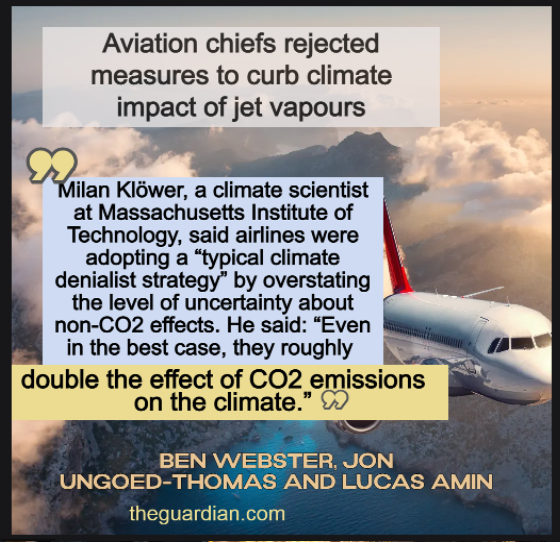 Sophie Gabrielle tweet media