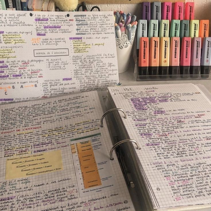 studyabel's tweet image. ⌕ #studytwtbr, #studytwt 

ㅤㅤ› bel | 23y
ㅤㅤ› ela/dela
ㅤㅤ› vestibulanda de medicina
    ㅤ› uma estudante totalmente perdida
ㅤㅤ› focando no Enem pra entrar na UFRJ