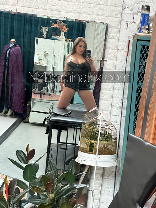 TW Pornstars - NY Dominatrix ~ âœˆï¸ STL 4/23-27. The latest pictures and  videos from Twitter for all time. Page 2