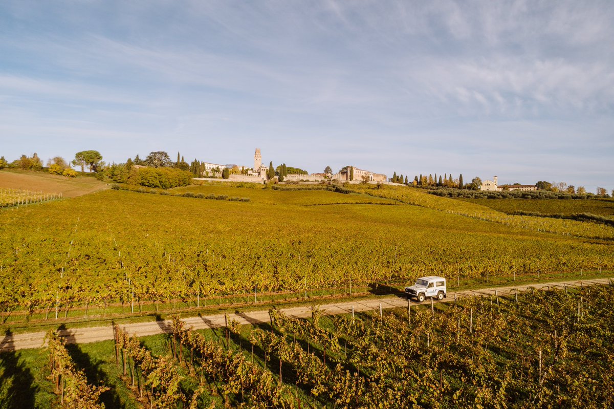 margher_italy's tweet photo. Not long to go now! 
On the first day of this extraordinary private tour of Veneto, I will take my guests to visit Conte Collalto wineries #italy #viaveneto #winelover @ProseccoDOC @foodandwine @TheWineSociety @WineSpectator 
https://t.co/mqJwhqTSKm https://t.co/ndVUAS9Q4b
