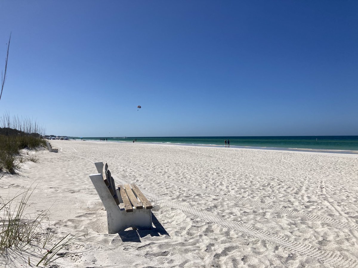 Island Unique tweet media