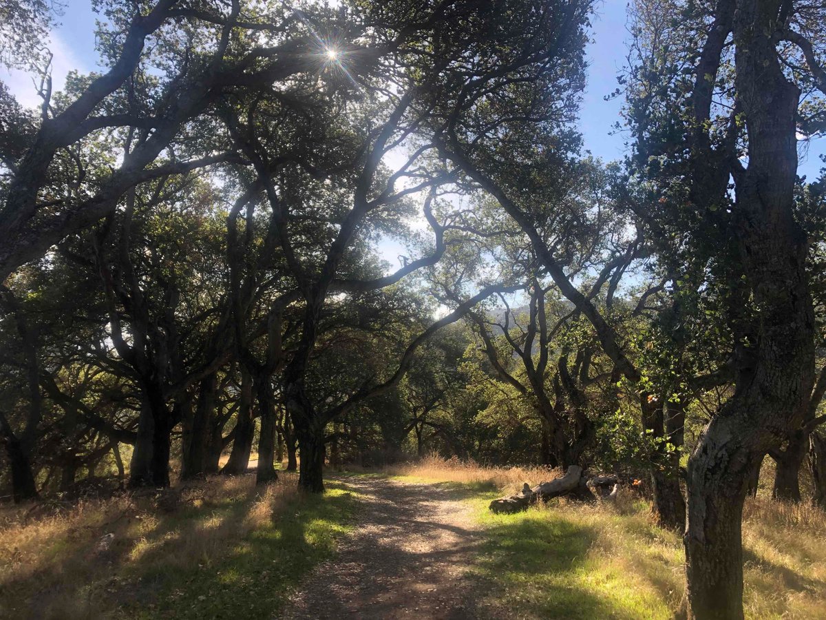 outerspatial's tweet photo. Planning your weekend outdoor adventure? Maybe it’s a scenic lookout, peeping at wildflowers, or having a picnic in your local park with friends &amp; family.
What outdoor plans do you have?
#outerspatial #findyouradventure #weekendvibes #friyay https://t.co/H1Y6LY7CED