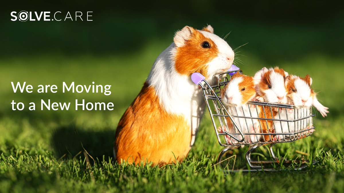 We are on the verge of achieving global adoption! 💪🏼

But to get there we’ll need a new home that will get us over the line. So, we’re moving to a new home! But where? 🤔

Join our Telegram Community to find out more. t.me/SolveCare/3730…

#NewHomeForSC  $SOLVE  #Web3