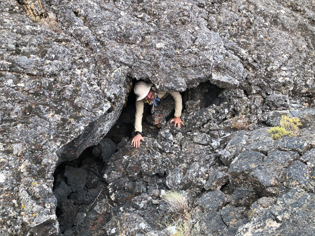 #FromtheArchiveFriday: Sammy in his natural state—in the desert, checking out rocks. 

📸 Jeff Sutton, 2020

#OwyheeCanyonlands #geologyrocks