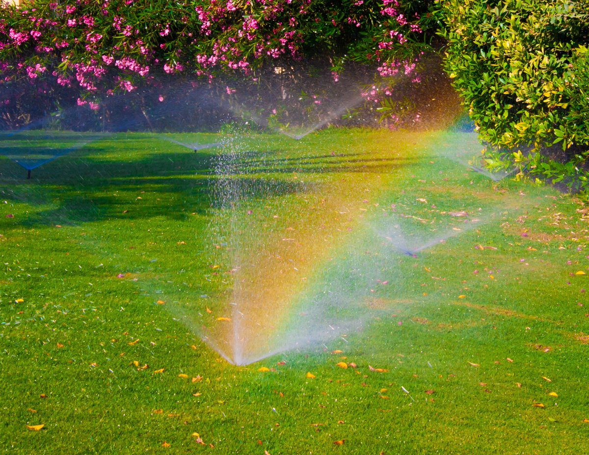 tblawncare's tweet image. Say goodbye to dry, patchy lawns and hello to lush greenery with our expertly installed sprinkler systems. 🌿💦 #lawnsprinklers #greenerlawns #tblandscaping