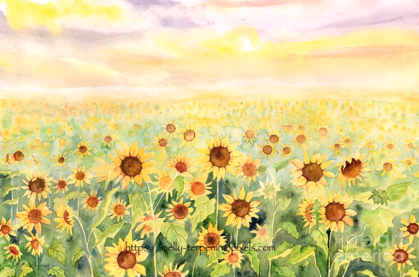 New artwork for sale! - 'Sunflower Field Watercolor' - fineartamerica.com/featured/sunfl… @fineartamerica