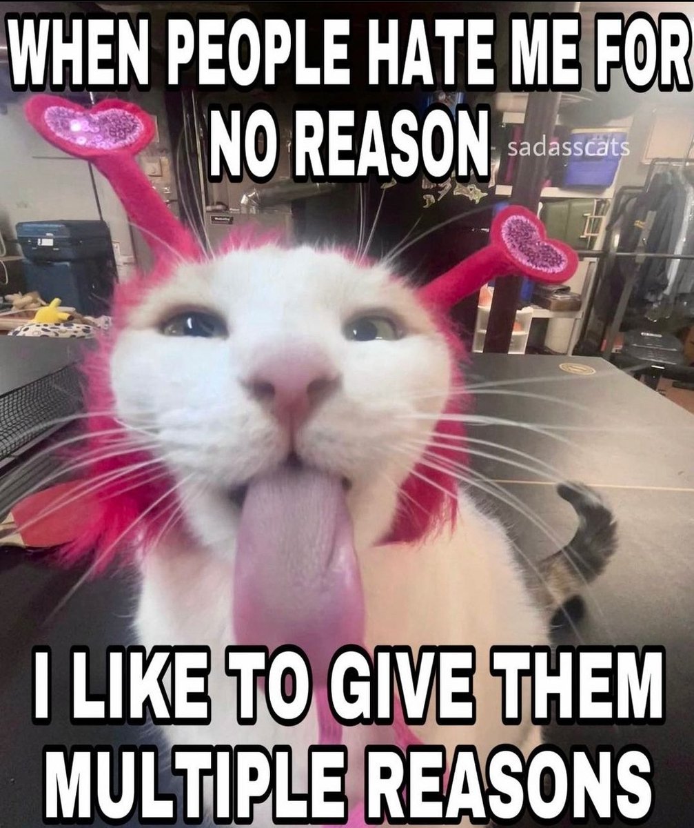 literallymecats's tweet photo. https://t.co/qoL0zE0UPp