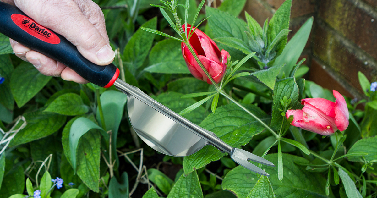 DarlacGardening's tweet photo. Weed thoroughly before the spring warmth turns weed shoots into problem plants.
Our Daisy Grubber is a weed puller tool that levers out deep-rooted weeds without gardening chemicals!
Find at a Darlac stockist or on our website 🌼
https://t.co/doGkhtWhVx
#ukgardeners #darlactools https://t.co/zk7jWfKkRn