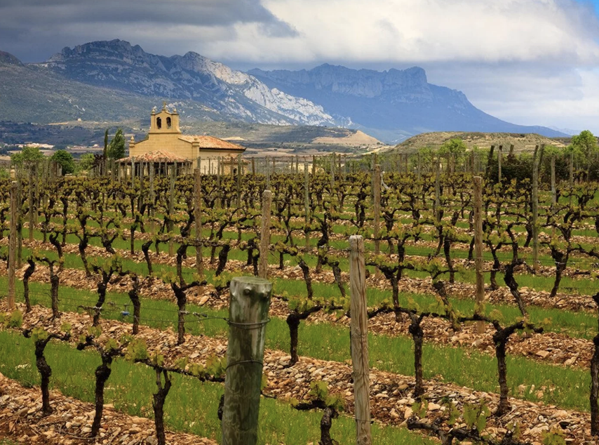 IntotheVineyard's tweet photo. Spain is a classic destination that offers diverse wine regions, rich culture, and culinary delights. 

Learn why Spain is truly a wine lover’s paradise. - https://t.co/6oDWaQGMhL https://t.co/X4EG03Eg03