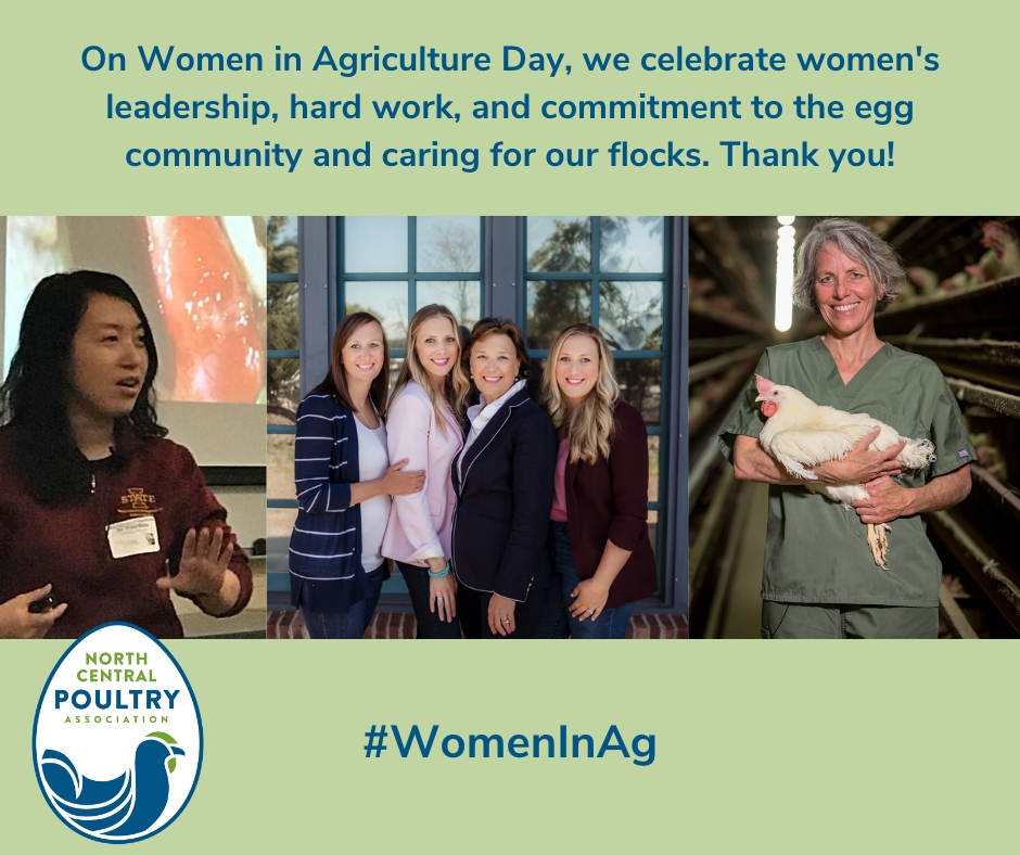 On Women in Agriculture Day, we celebrate women's leadership, hard work, and commitment to the egg community and caring for our flocks. Thank you! #WomenInAg