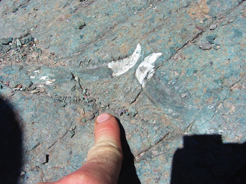 Darin Croft tweet media