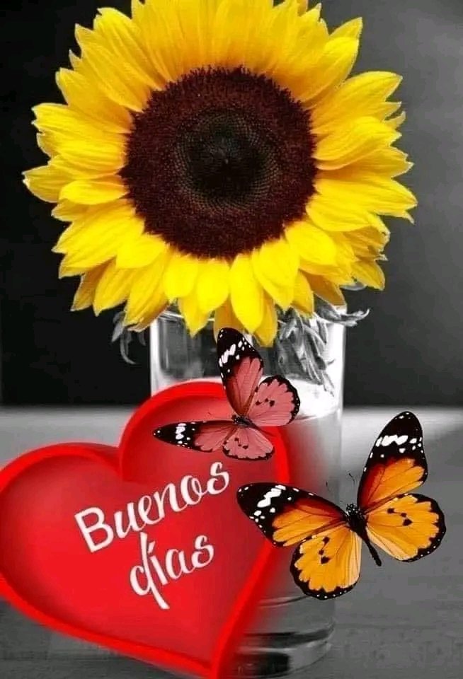 Bonito día