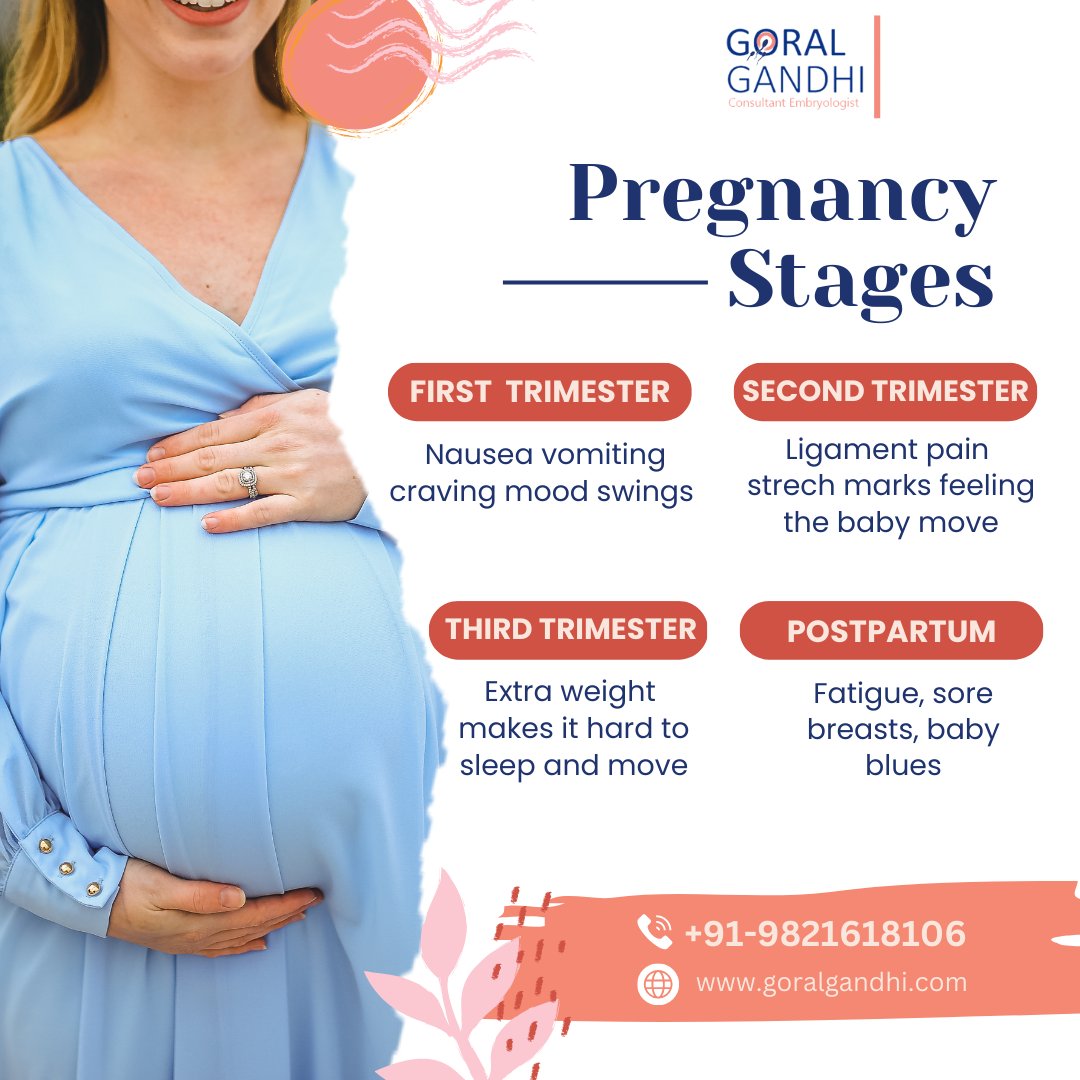 Stages of pregnancy and how it feels during the initial trimesters
#pregnancy #pregnancyjourney #pregnancylife #firsttrimester #secondtrimester #thirdtrimester #postpartum