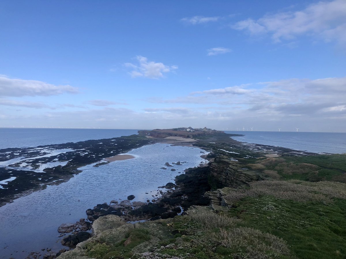 SteveOnHilbre's tweet photo. A lovely couple of hours @hilbrebirdobs, highlight for me, my first #Wheatear of course (first of the year found by @HERDOFHERDHALL on Little Eye early morning), 1 of 6, +5 Stonechat, lots of pipits, the first @deeestuary #SandwichTern of the year, #Sprawk , 3 #HarbourPorpoise … https://t.co/kMqzoHqruf
